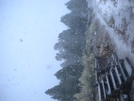 DSCN9526.JPG